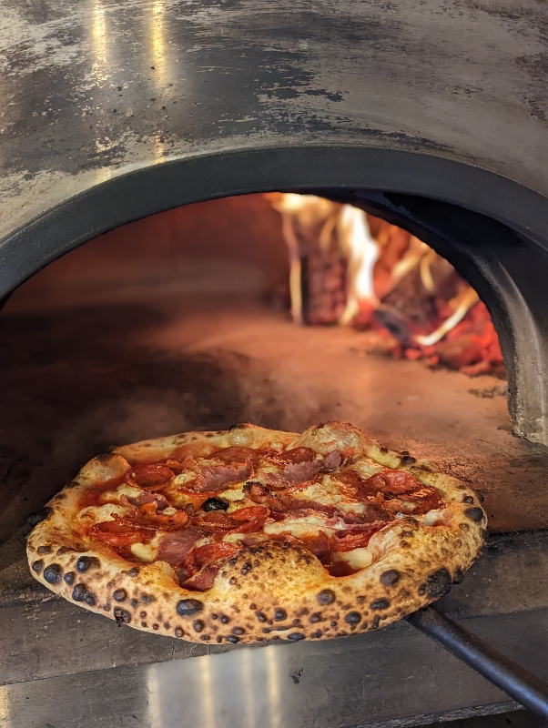 PXL_20230421_183153194.PORTRAIT