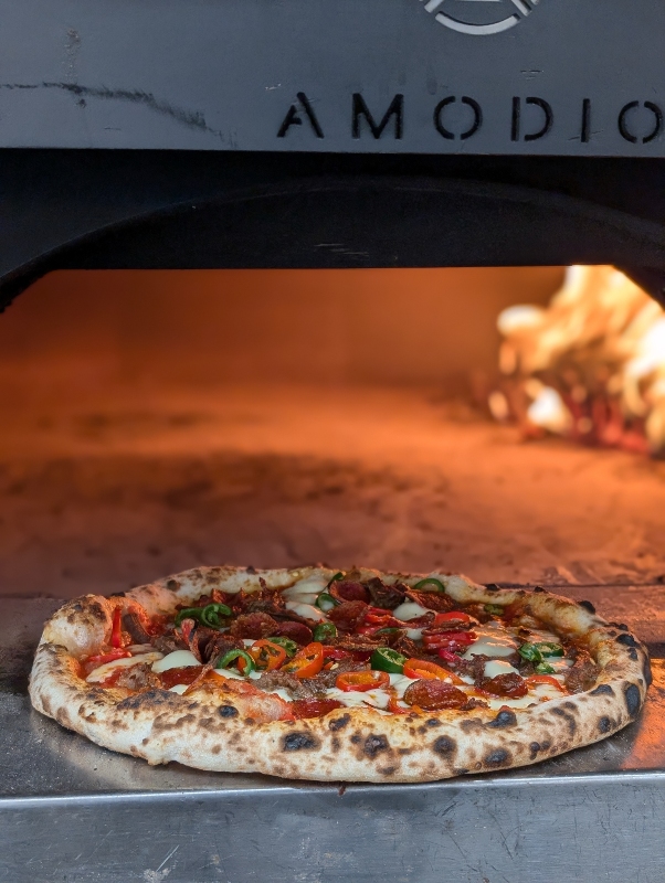 PXL_20241004_161323628.PORTRAIT